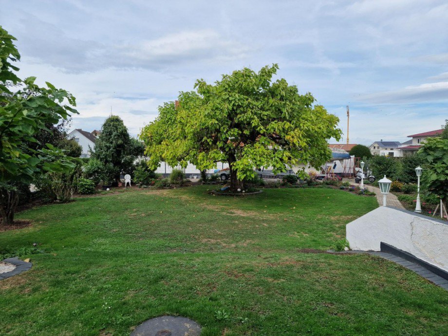 Ansicht Wohngrundst�ck Ringsheim