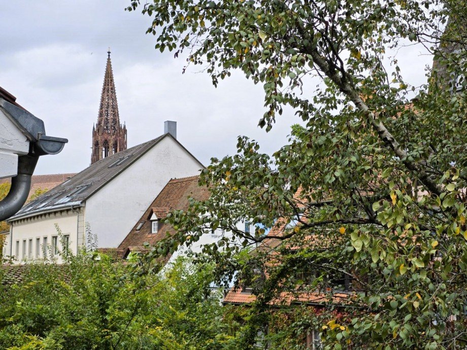 Aussicht Mehrfamilienhaus Freiburg