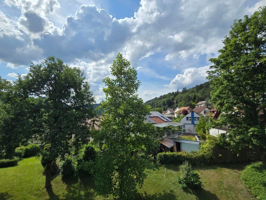 Aussicht Etagenwohnung Waldkirch