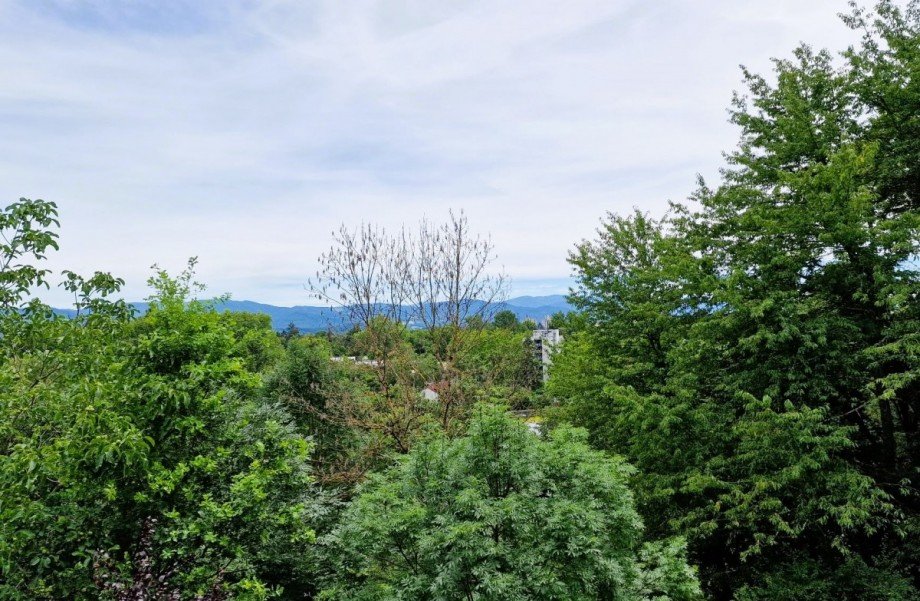 Aussicht Etagenwohnung Emmendingen