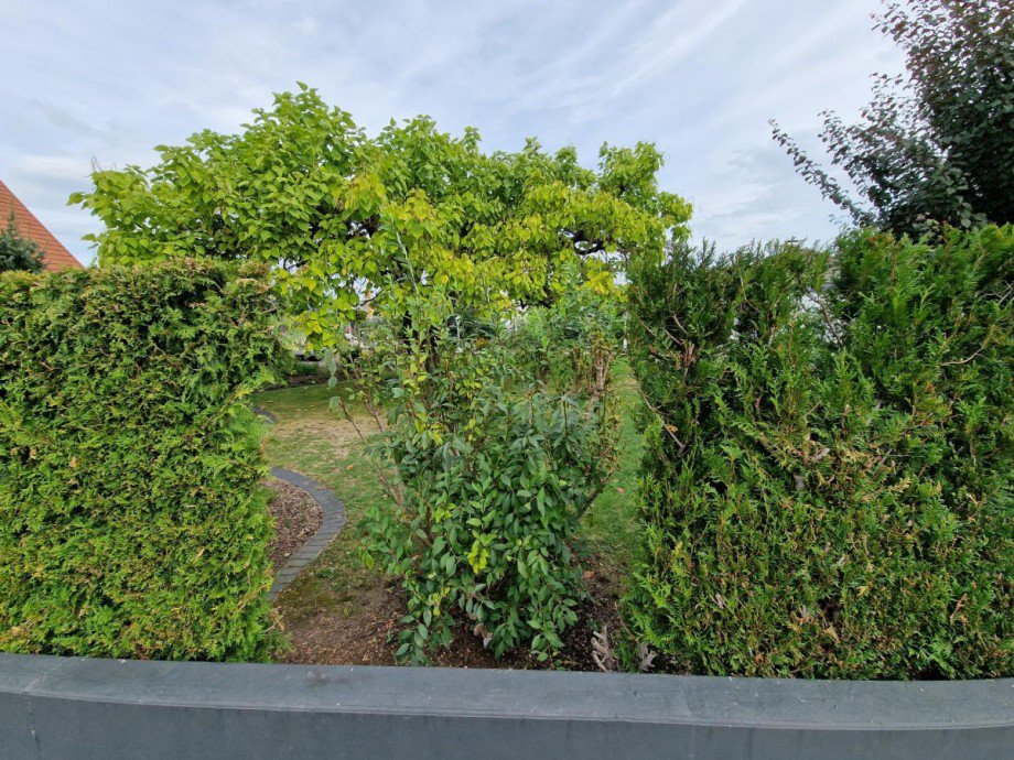 Ansicht Wohngrundst�ck Ringsheim