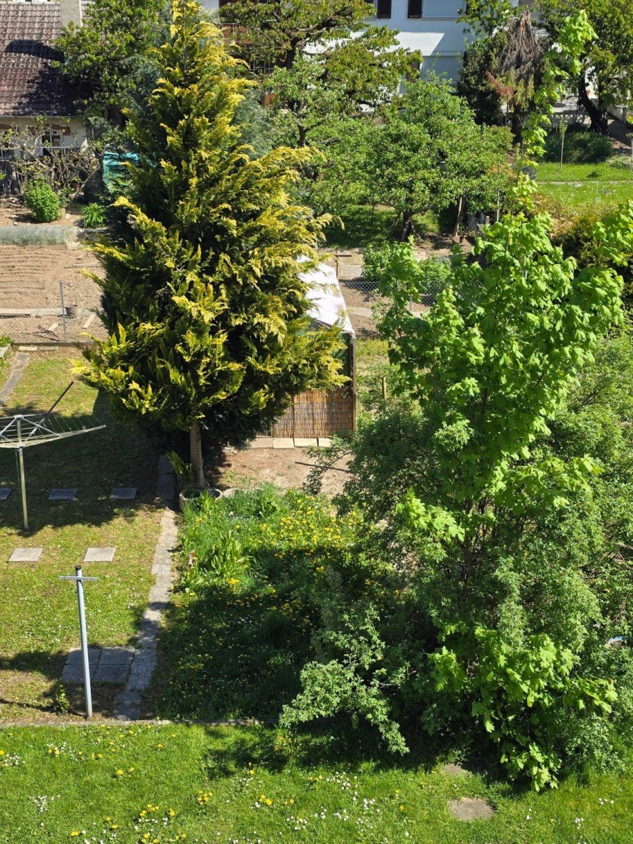 Privatgarten Dachgeschosswohnung Kenzingen