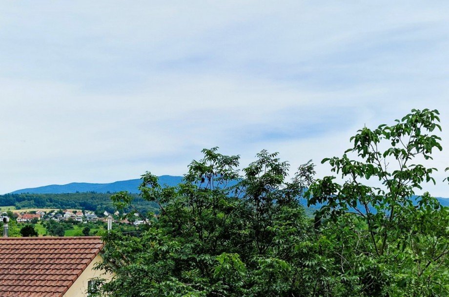 Aussicht Etagenwohnung Emmendingen