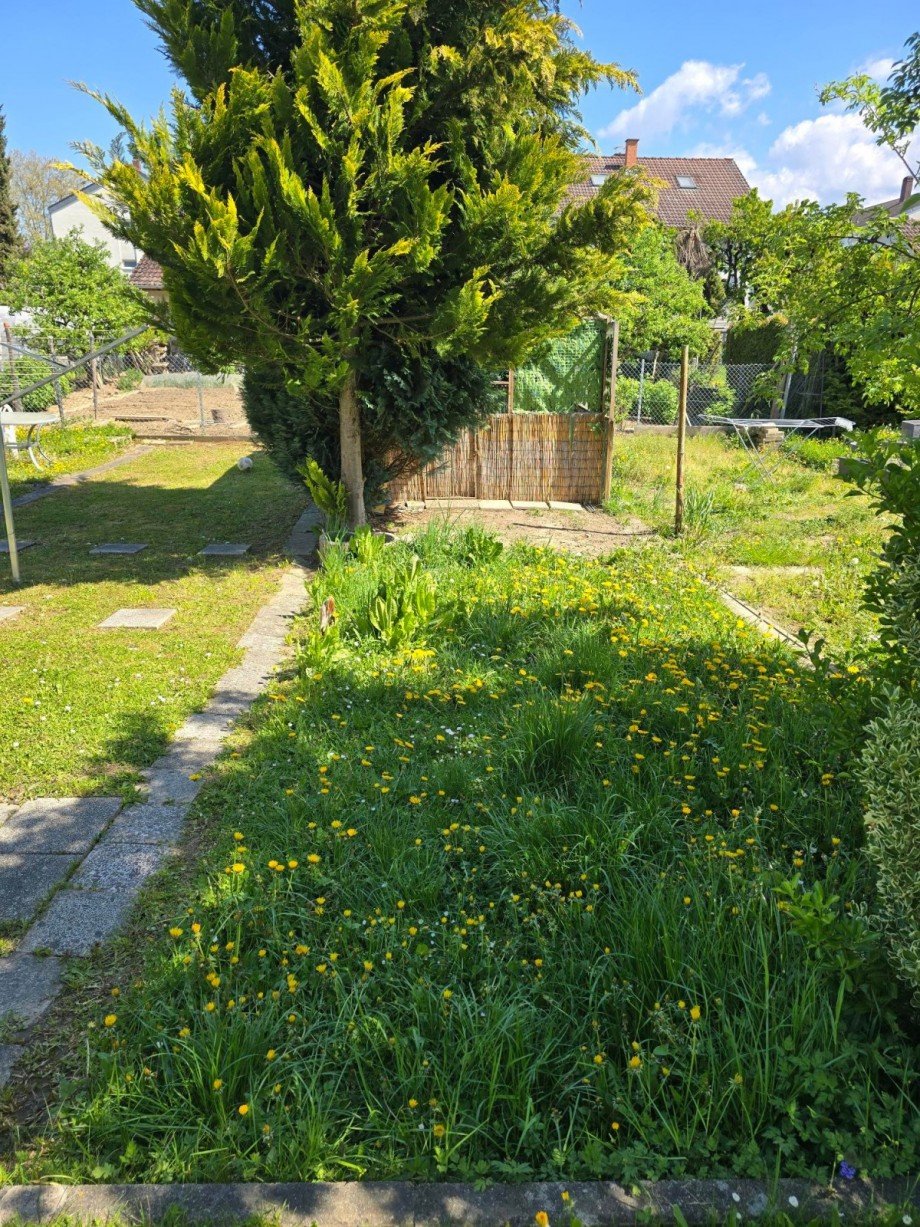 Privatgarten Dachgeschosswohnung Kenzingen